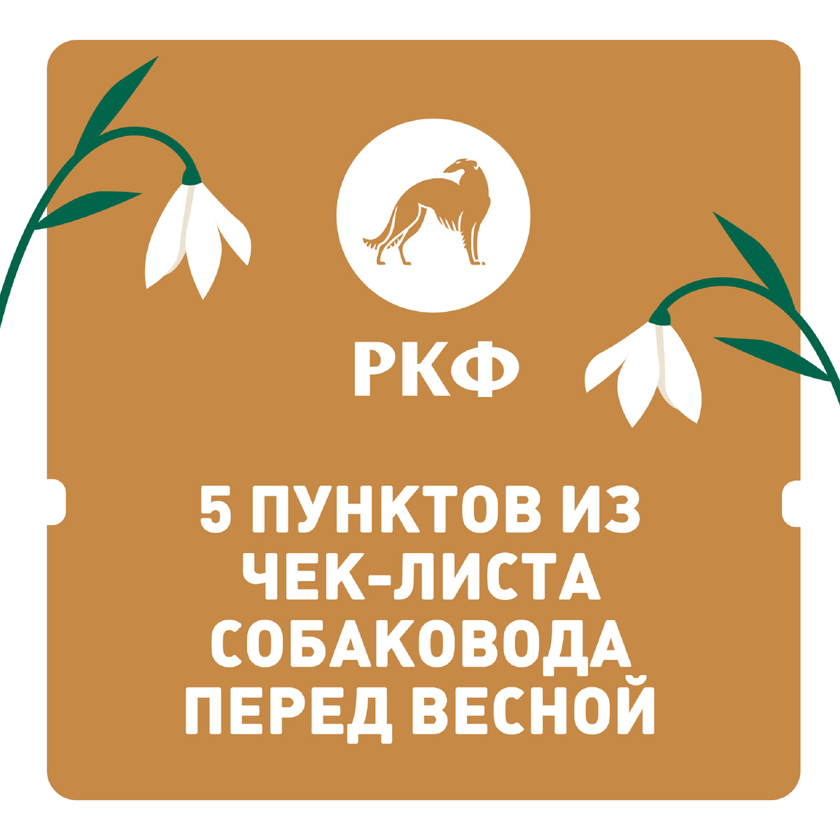 Листайте карусель 👉