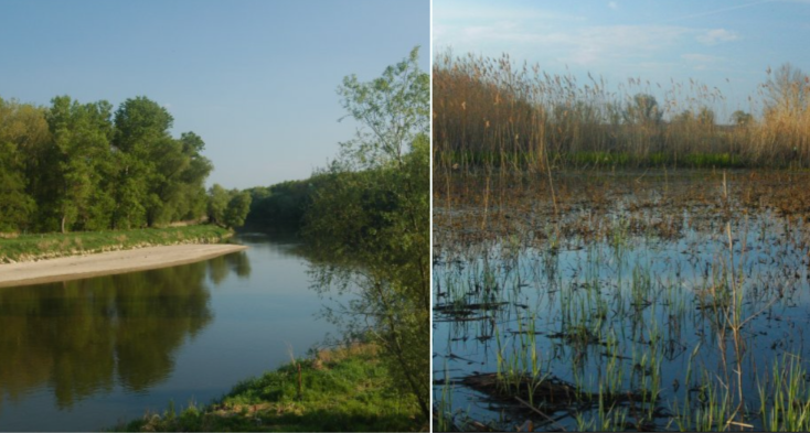 Река Морава. Фото из общих источников.