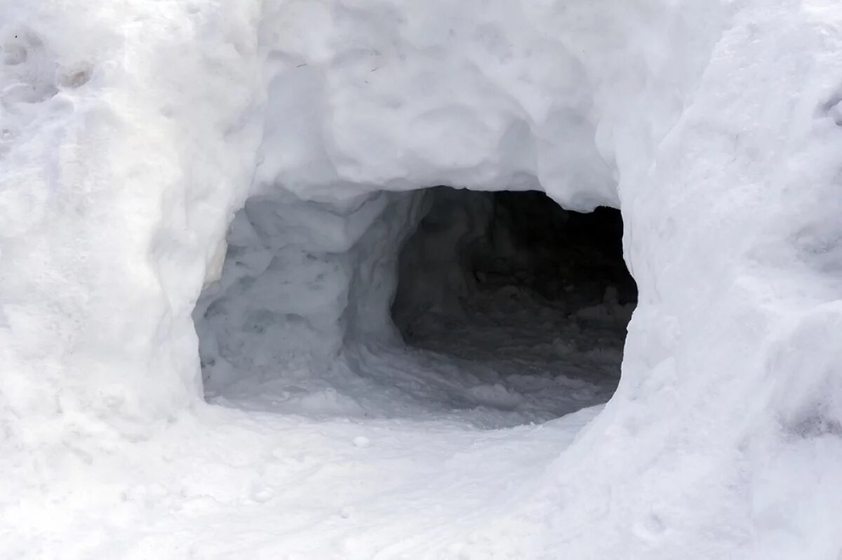    Появилось видео с трактором, засыпавшим сугроб с ребенком в Подмосковье