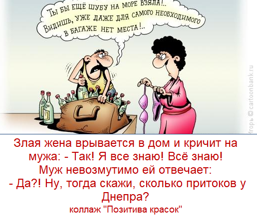 "Юмор выходного дня": лучшие анекдоты, карикатуры и каламбуры за неделю | Подводим итоги зимы