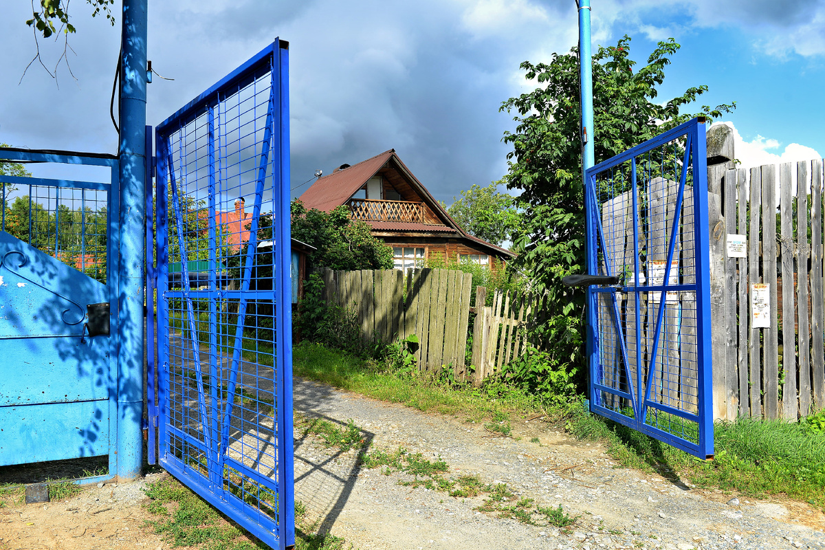 Фото: Владимир Солдатов