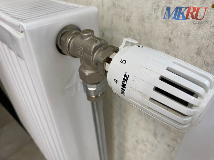     Фото: "МК в Калуге"