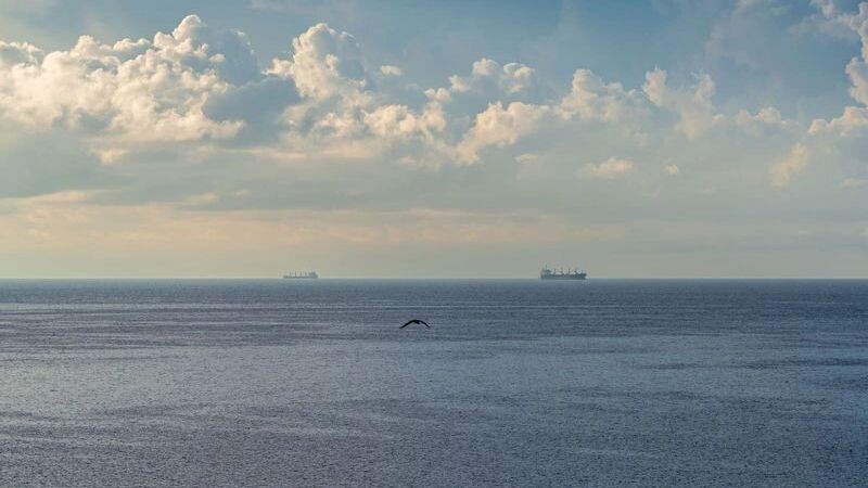    Фото: mika_mgla/Shutterstock/Fotodom