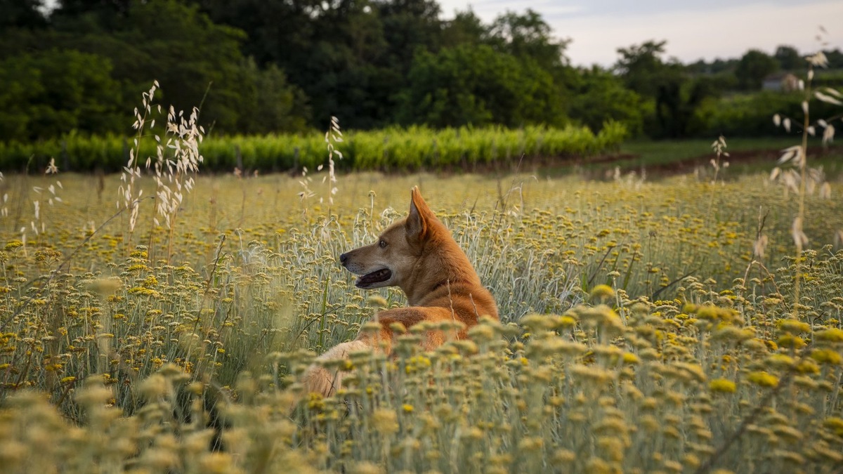    Фото несет иллюстративный характер