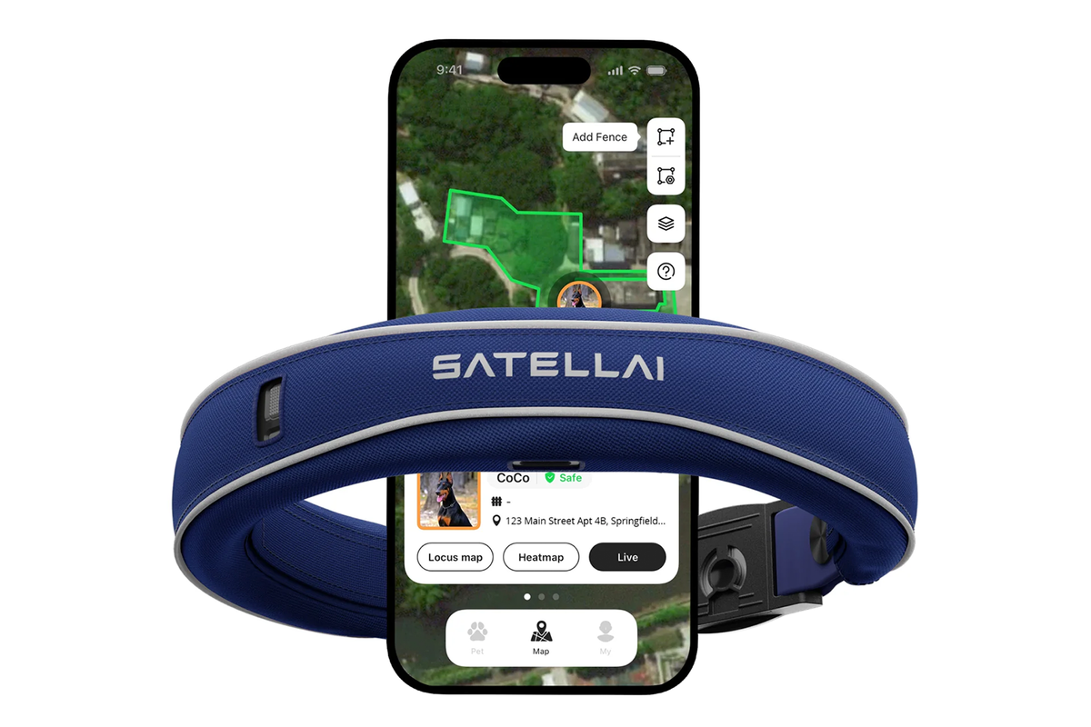 Satellai Collar Go + Petsense AI