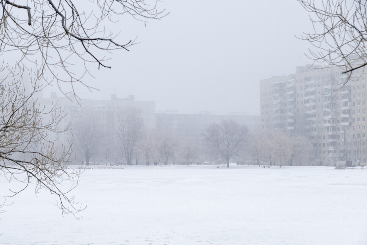Фото: Олег Золото