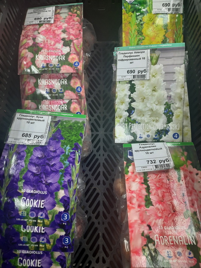 Все фотографии в статье мои