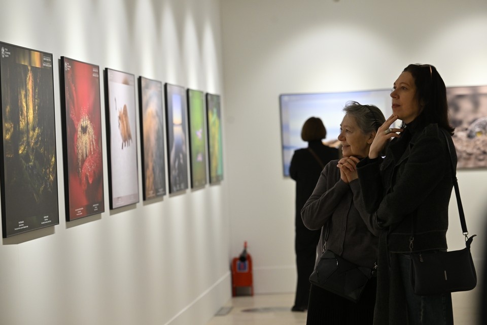    На выставке будут представлены экспонаты, рассказывающие о территории и об исследованиях Евгения ГУСЕВА