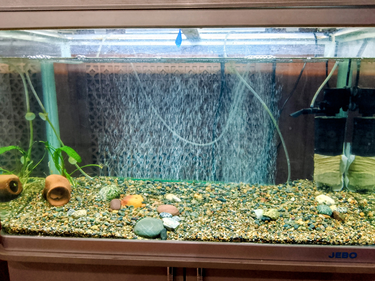 Сейчас выглядит так 