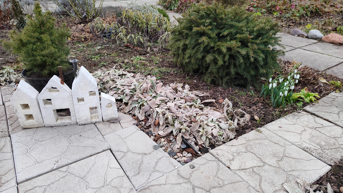 25.02. Две ёлочки, домики и подснежники.