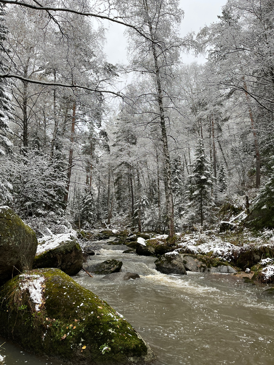 Терренкур к «Старой мельнице»