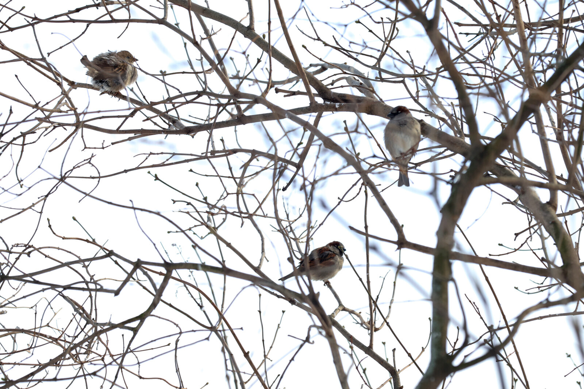 Фото: Олег Золото / «Вечерний Санкт-Петербург» 
