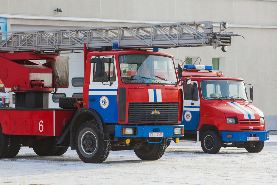    Shutterstock/FOTODOM