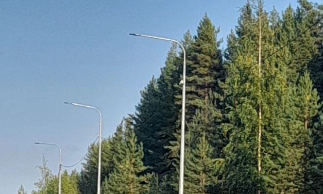    фото: © Минтранс Карелии