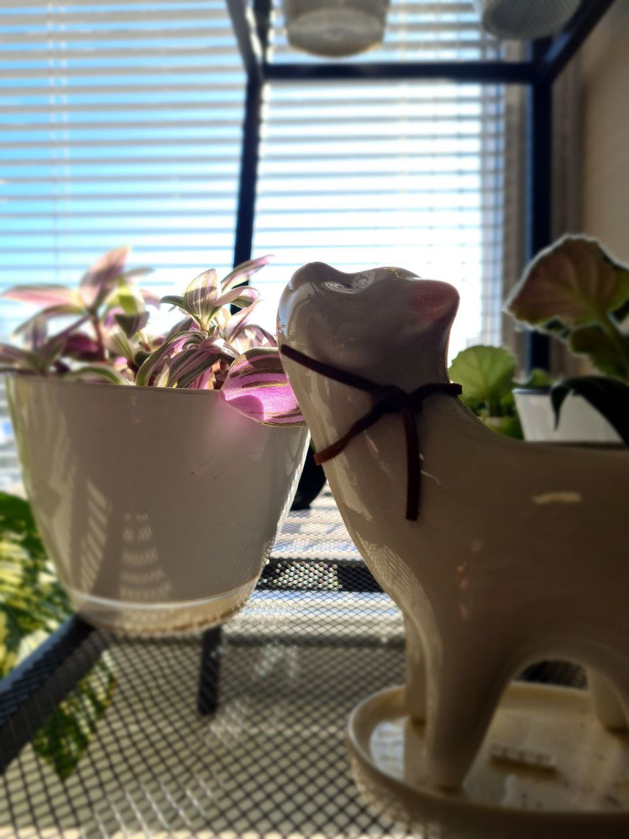 На пороге весны. Фото из личного архива автора.