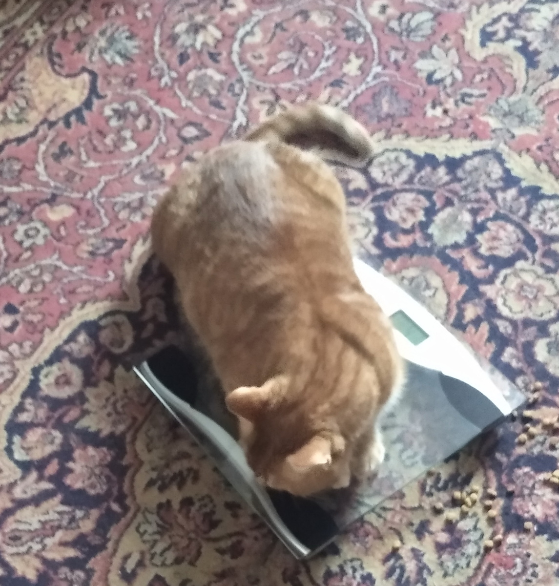 личное фото