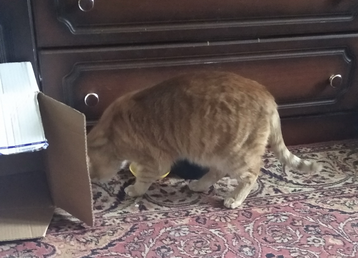 личное  фото