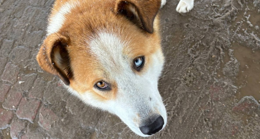    фото редакции