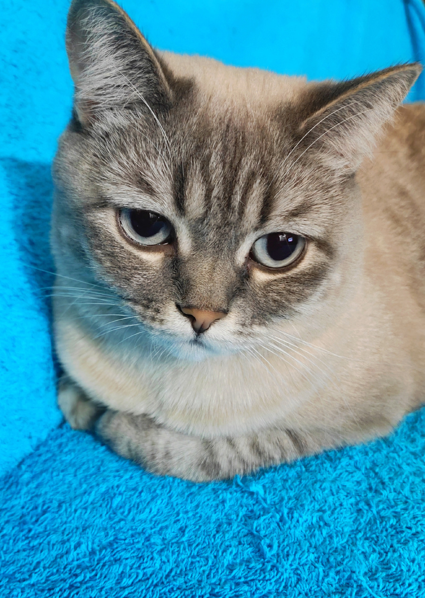 Фото автора 