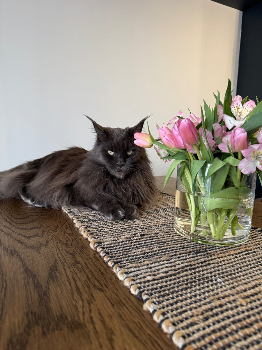 На секундочку опоздала, а так жмурилась