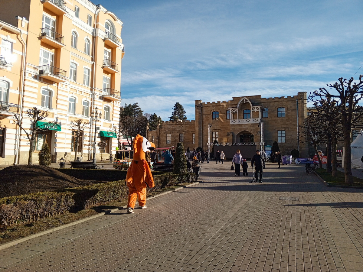 Фото автора.