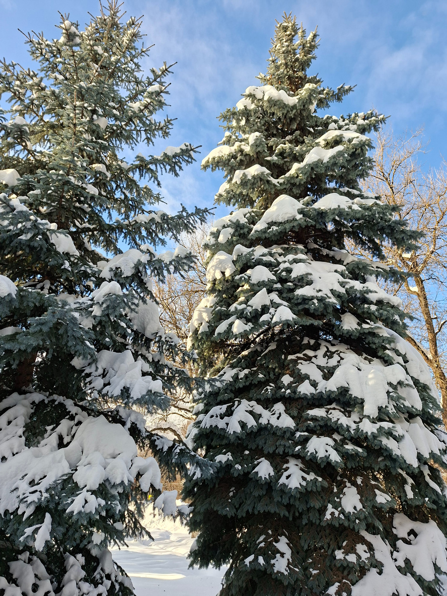 Что за зима в этом году, ну прямо заглядение