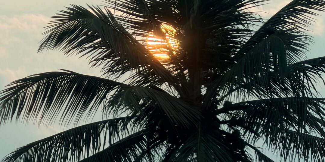 Вот и начался наш отпуск на Шри-Ланке