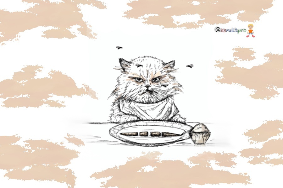 Обучающие истории от @asmultpro