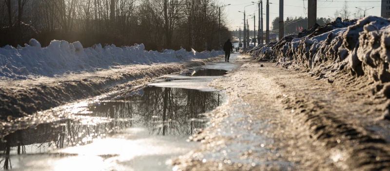    Ирина Яковлева