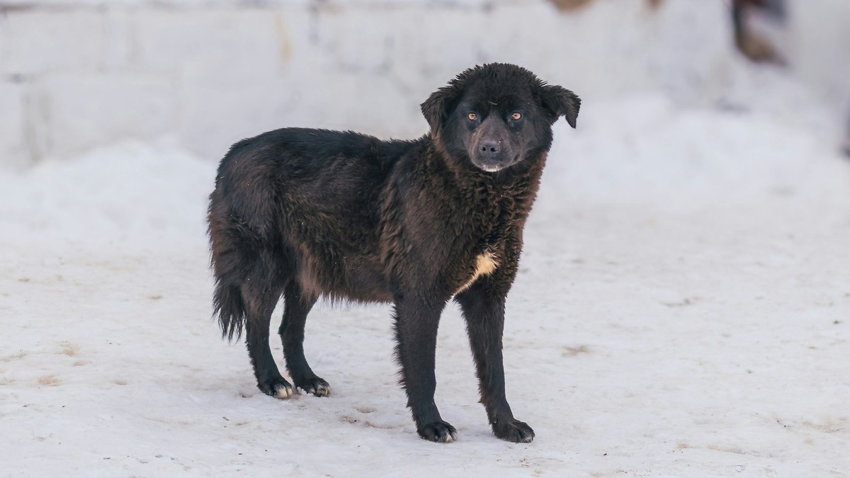    Фото несет иллюстративный характер