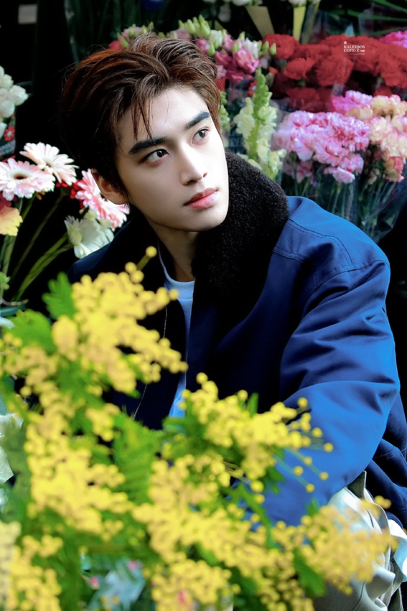 фотографии из открытых источников