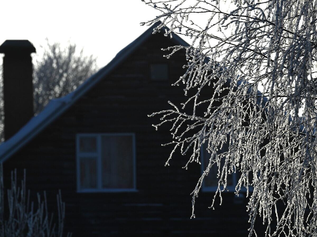    Дерево в инее у дома | © РИА Новости / Кирилл Каллиников