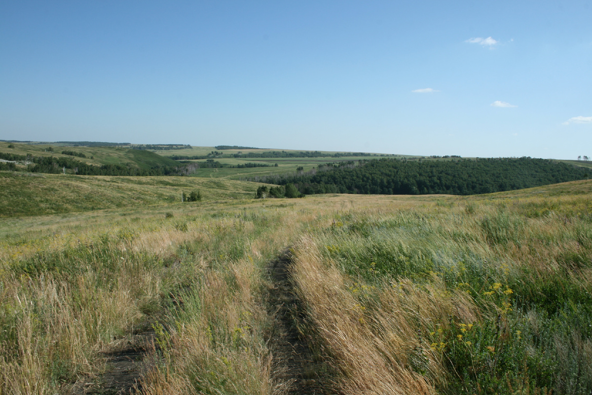 Вид на долину Губерли из урочища «Боевое».
