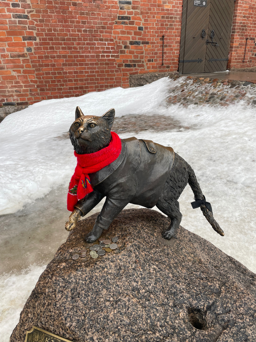 Кот в пальто - Сэр Филимон во всей своей кошачьей красе 