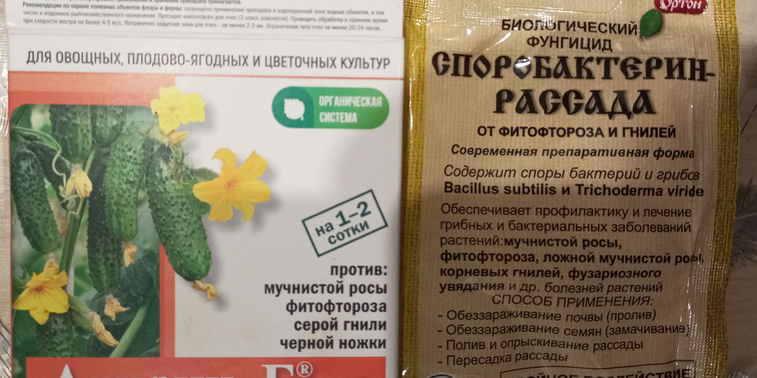 В каких случаях грунты и семена нуждаются в подготовке