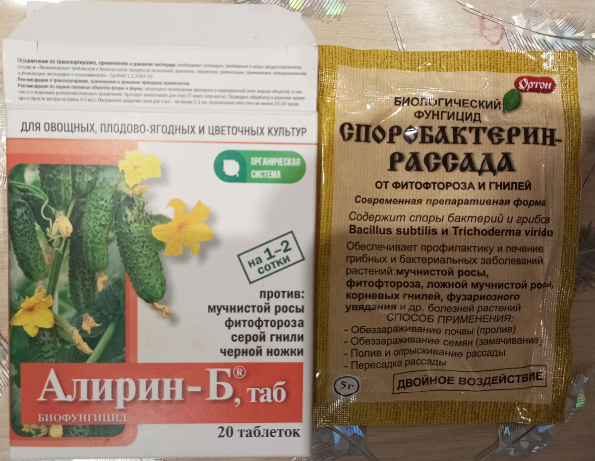 фото автора: биопрепараты для обеззараживания грунта 