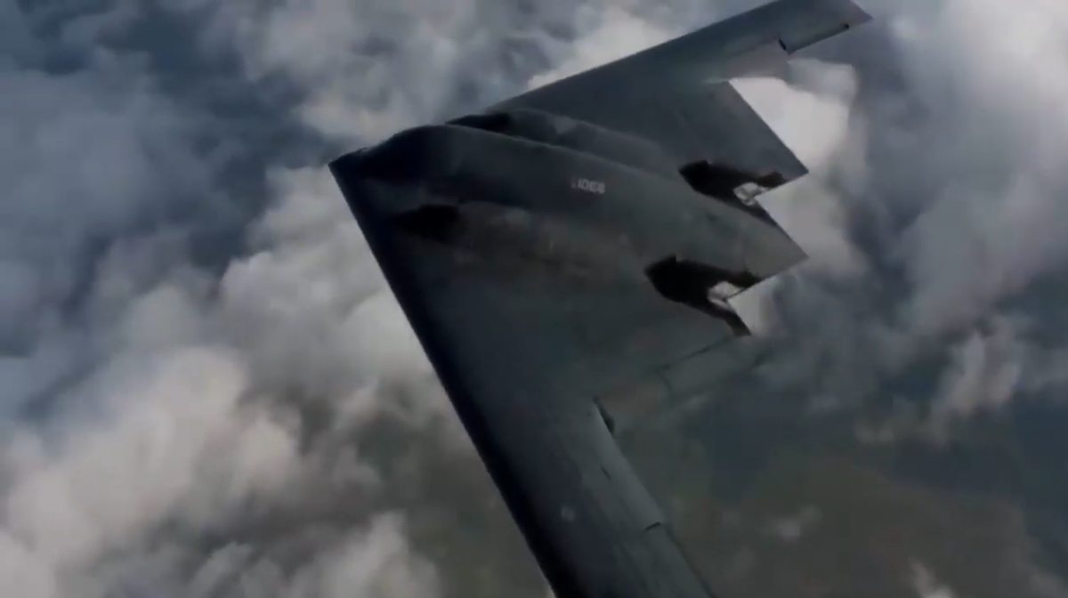 Американский голубь мира