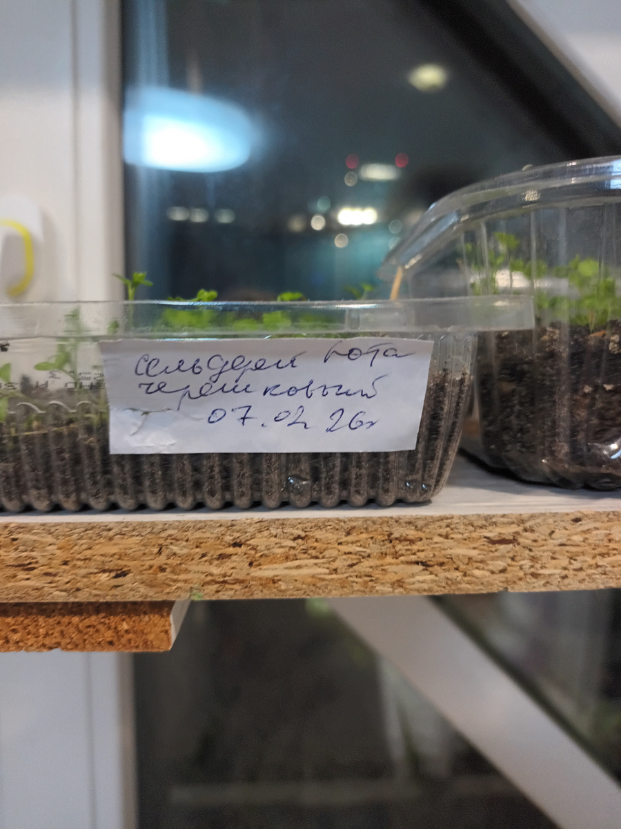 Мои фоточки