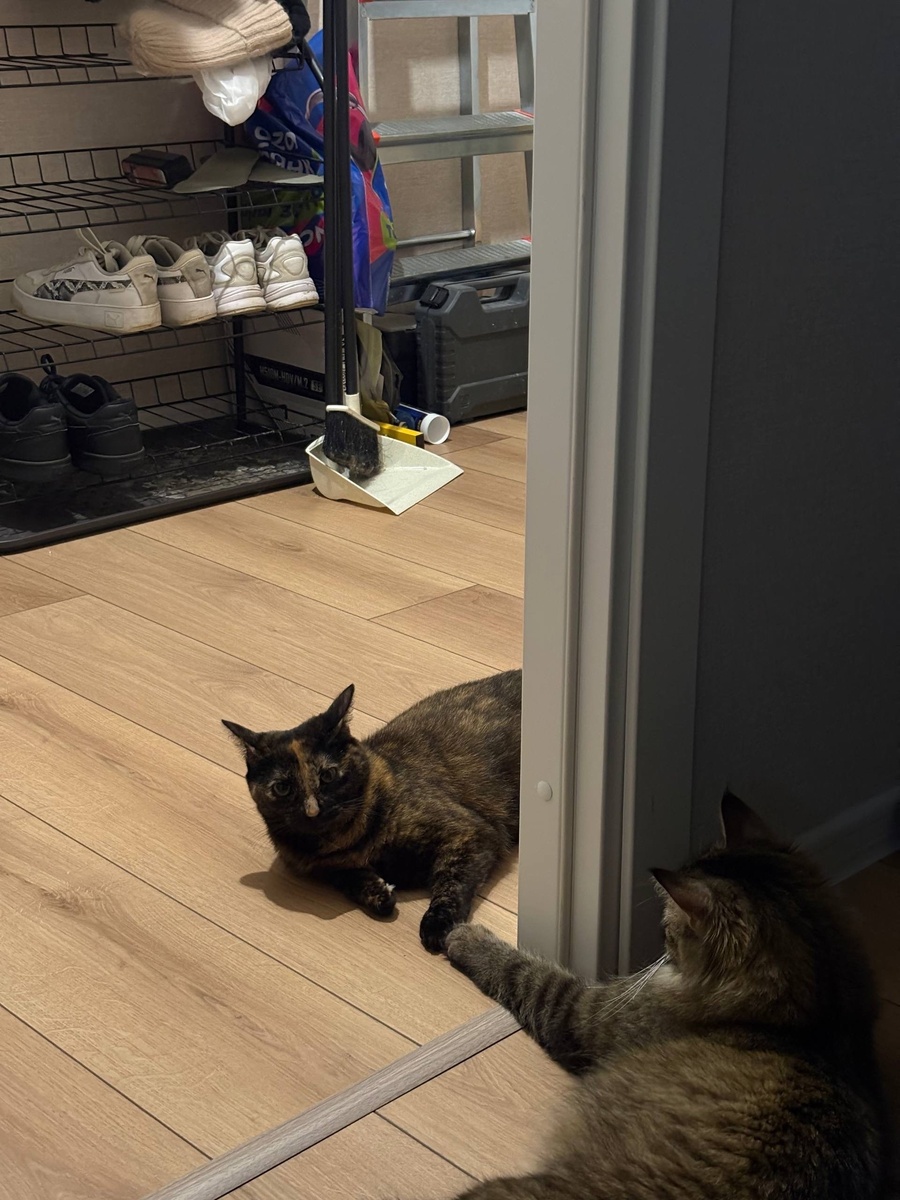 У меня есть друг, мы всегда вместе) 