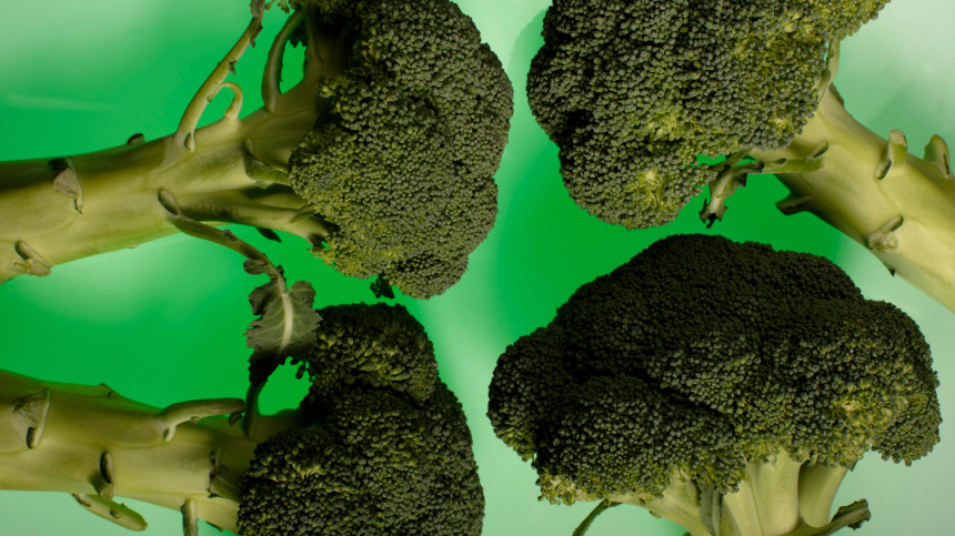    Фото: www.globallookpress.com/Jiri Hubatka