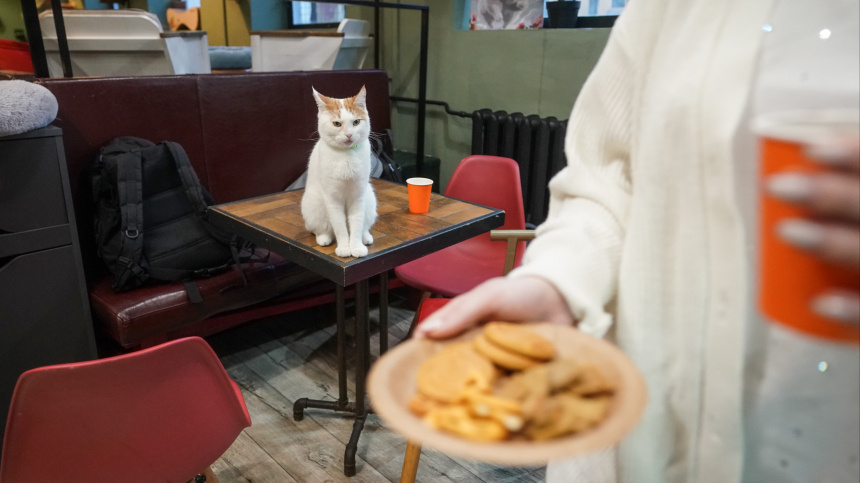    Фото: ИЗВЕСТИЯ/Павел Волков