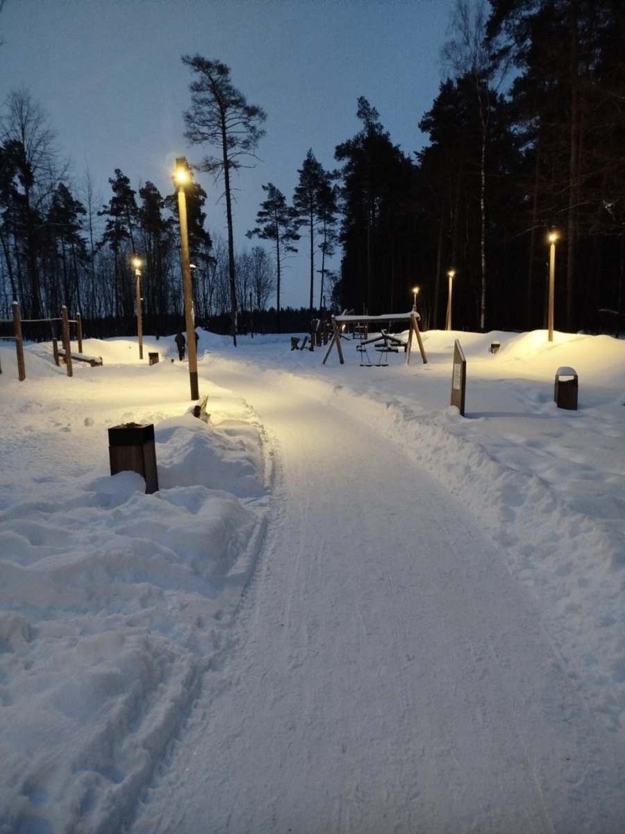 Знаете,  что забавно? В нашем лесопарке всегда почищено:)
