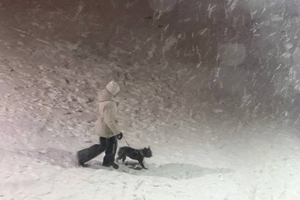    К тому же вторые сутки в Самарской области держится магнитная буря Анастасия ПРАВДИНА