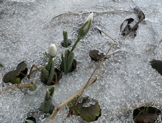    Фото: кадр 1Rnd