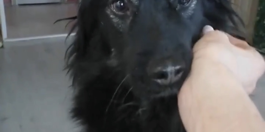 Чужая беда становится твоей.