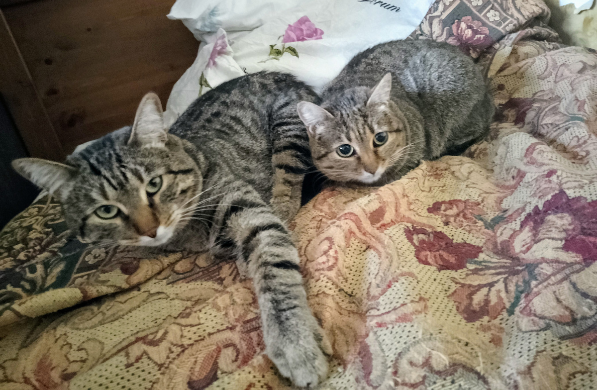 Флинт и мама Елка