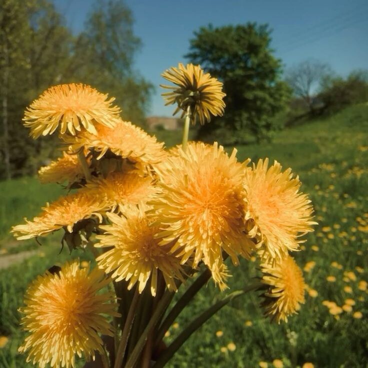 #любовь #романтика #студенты #май #подстава #кафе #разборки