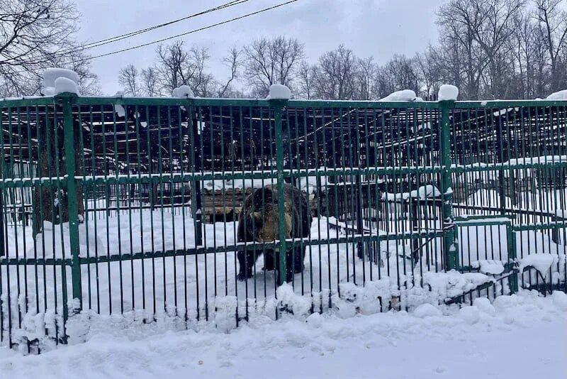 Фото: UfaTime.ru