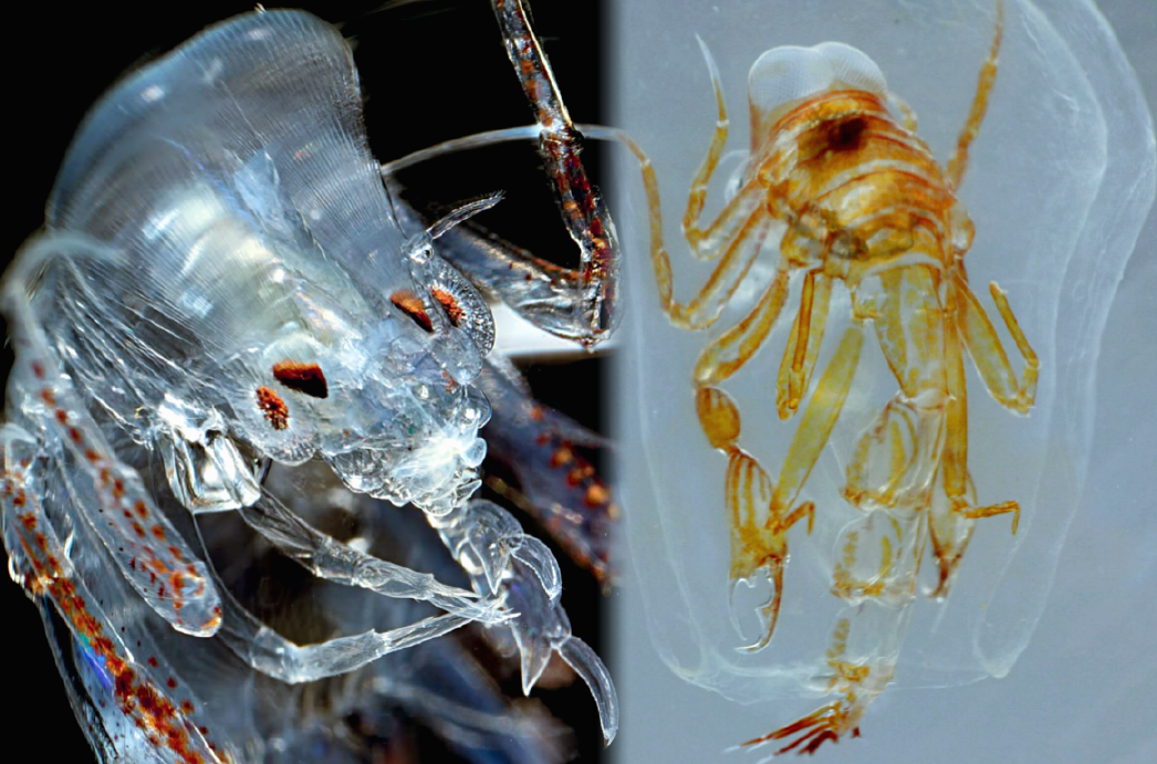 Сражающемуся с чудовищем нужно позаботиться о том, чтобы самому не превратиться в него.