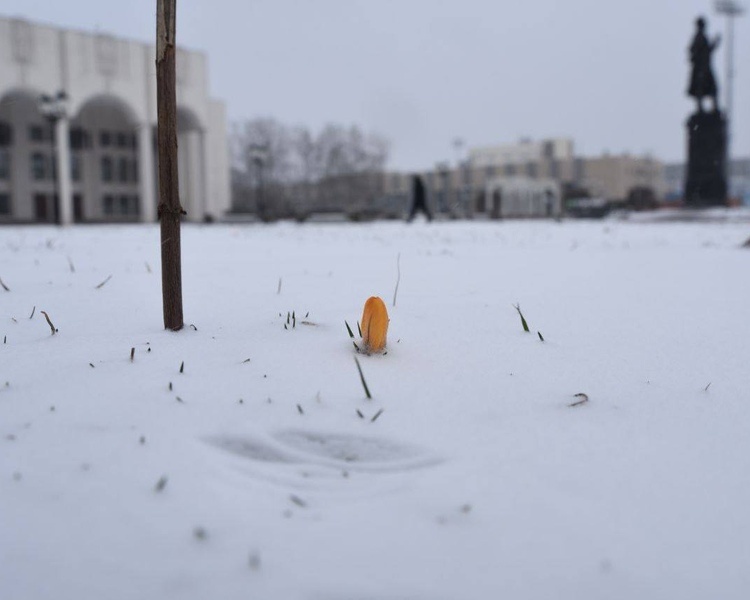     В Курской области 1 марта ожидается потепление до семи градусов